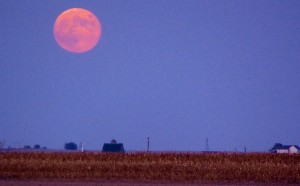 Harvest Moon Celebration